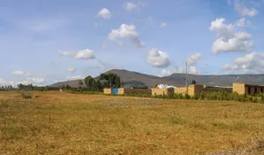 Affordable Plots for Sell