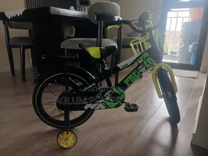 Three Gun Bike Size 16