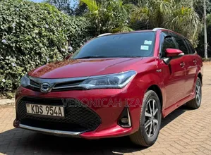 Toyota Corolla Fielder 2019 Red