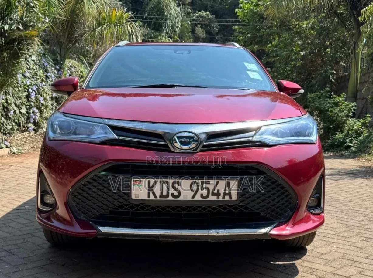 Toyota Corolla Fielder 2019 Red