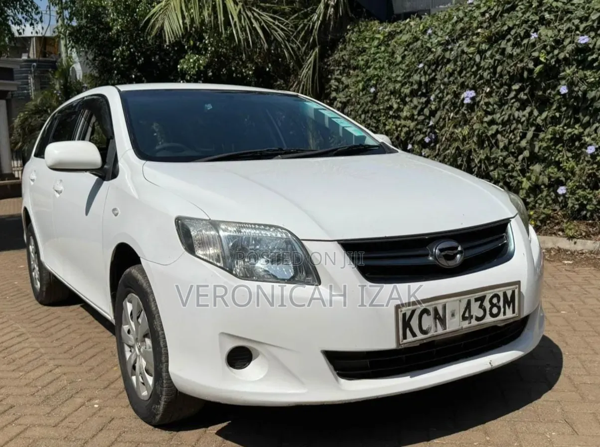 Toyota Corolla Fielder 2010 White