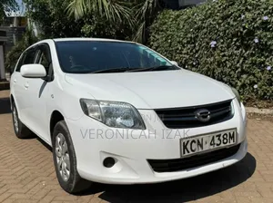 Toyota Corolla Fielder 2010 White