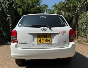 Toyota Corolla Fielder 2010 White