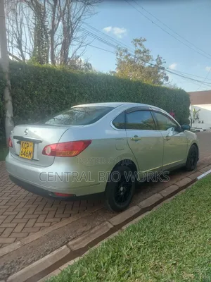 Nissan Sylphy 2010 Silver