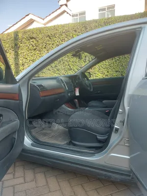 Nissan Sylphy 2010 Silver
