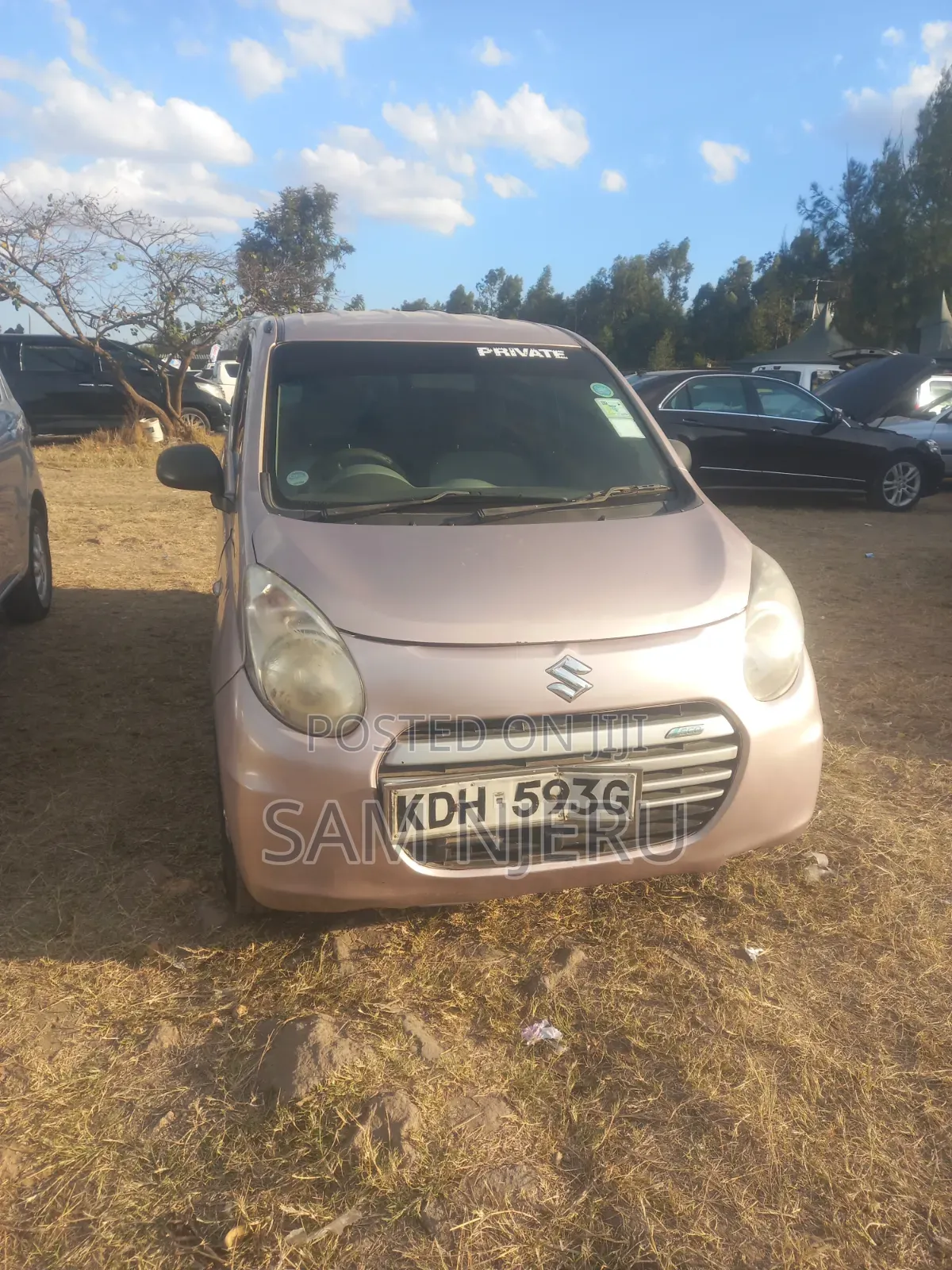 Suzuki Alto 2014 Beige
