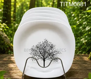 Ceramic 10 Inch Plate 6 PCS