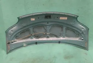 Bonnettoyota Porte Np10 2009