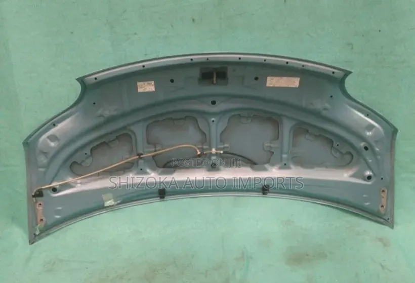 Bonnettoyota Porte Np10 2009