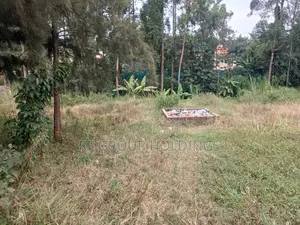 Prime 1.5-Acre Development Land for Sale – Thindigwa, Kiambu