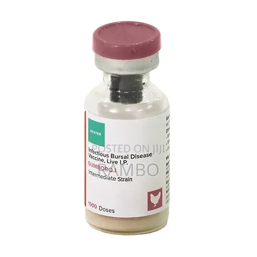 Gumboro Vaccine for Chickens | IBD Poultry Vaccine Kenya