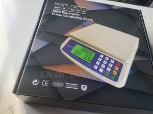 DT-580 Mini Electronic Price-Computing