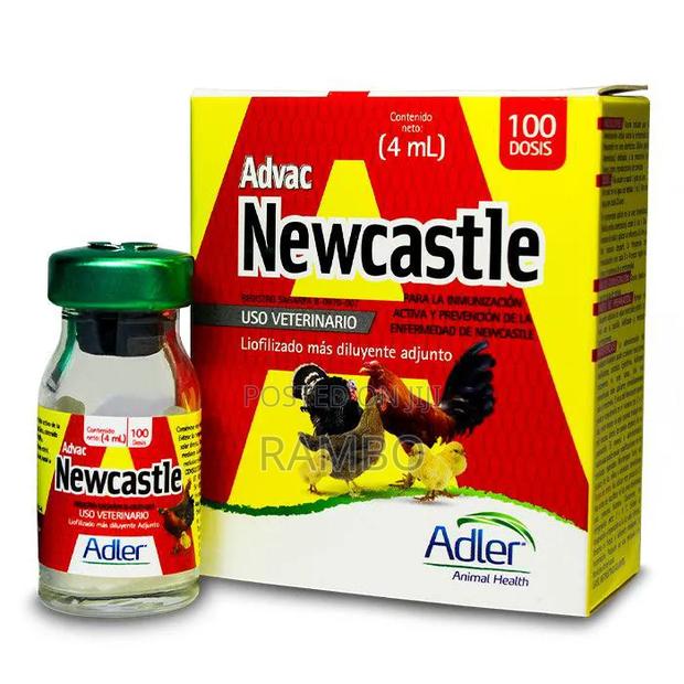 Newcastle Disease Vaccine for Chickens