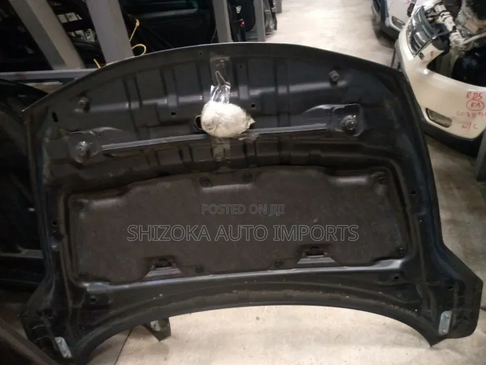 Bonnet Nissan Murano Tz50 2006