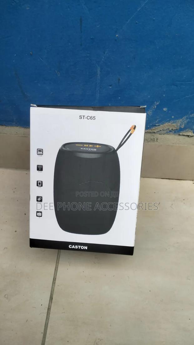 Caston St C65 Portable Bluetooth Speaker - main view