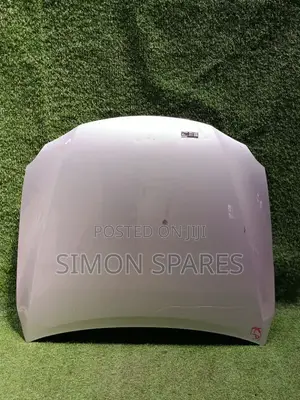Bonnet Lexus Is Gse20 2005