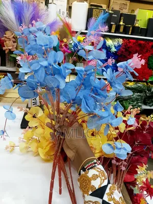 5pcs Eucalyptus Stems - Ks