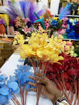5pcs Eucalyptus Stems - Ks