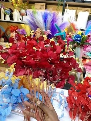 5pcs Eucalyptus Stems - Ks