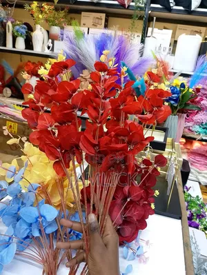 5pcs Eucalyptus Stems - Ks