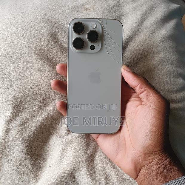 Apple iPhone 16 Pro 256 GB Silver - thumbnail 7