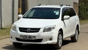 Toyota Corolla Fielder 2010 White