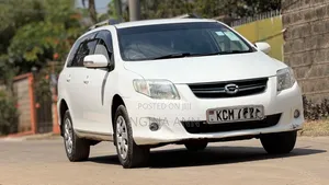 Toyota Corolla Fielder 2010 White