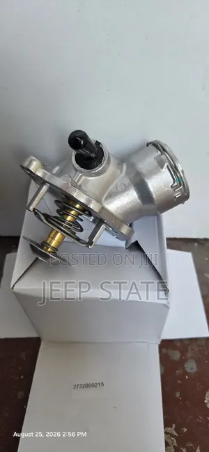 Coolant Thermostat - Mercedes-Benz With M272 Engine