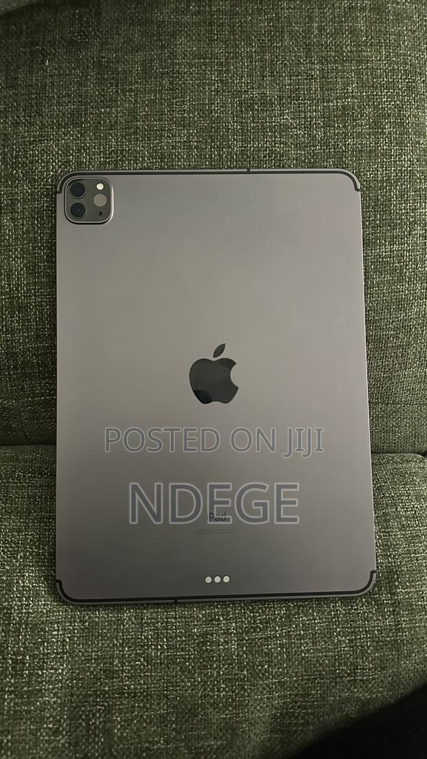 Apple iPad Pro 1 TB Silver