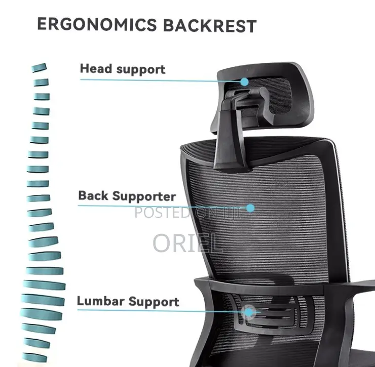 Office Staff Chair : Office Chair With Headrest and Fixed Armrest