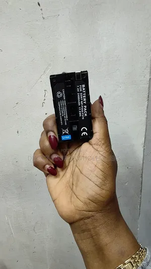 Heavy Duty 2400mAh Li-Ion Camera LED Light Rechargeable Battery