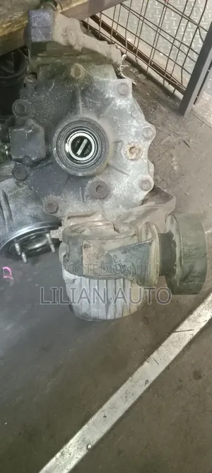 NZE Rear Differential (Diff)