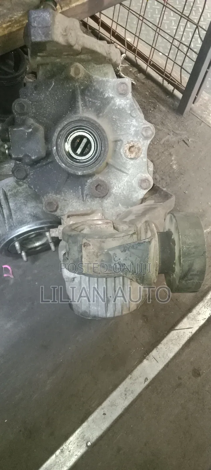 NZE Rear Differential (Diff)