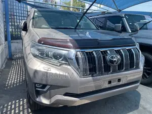 Toyota Land Cruiser Prado 2019 Gray