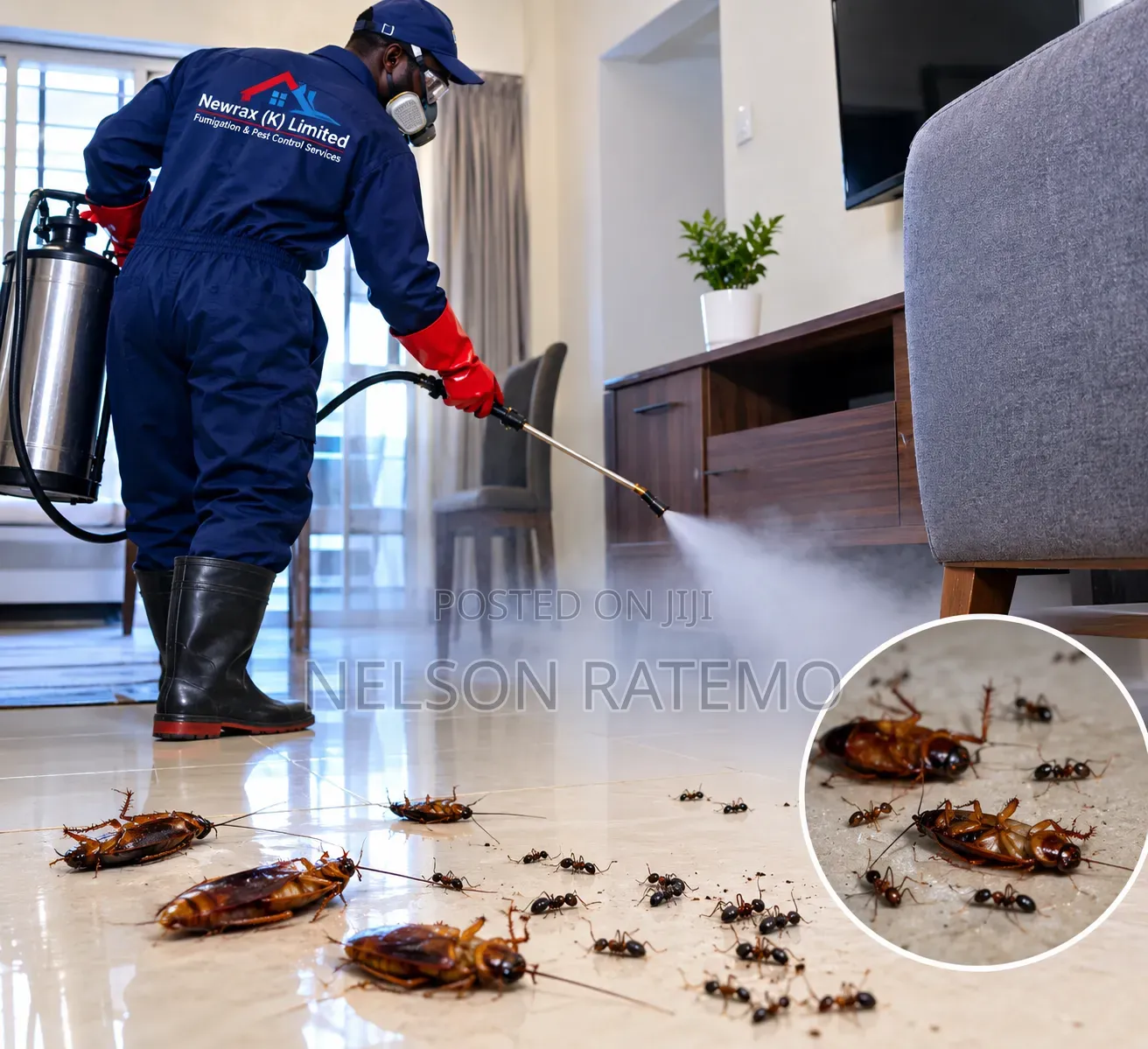 Cockroach Fumigation in Nairobi, Bedbugs Fumigation Near Me