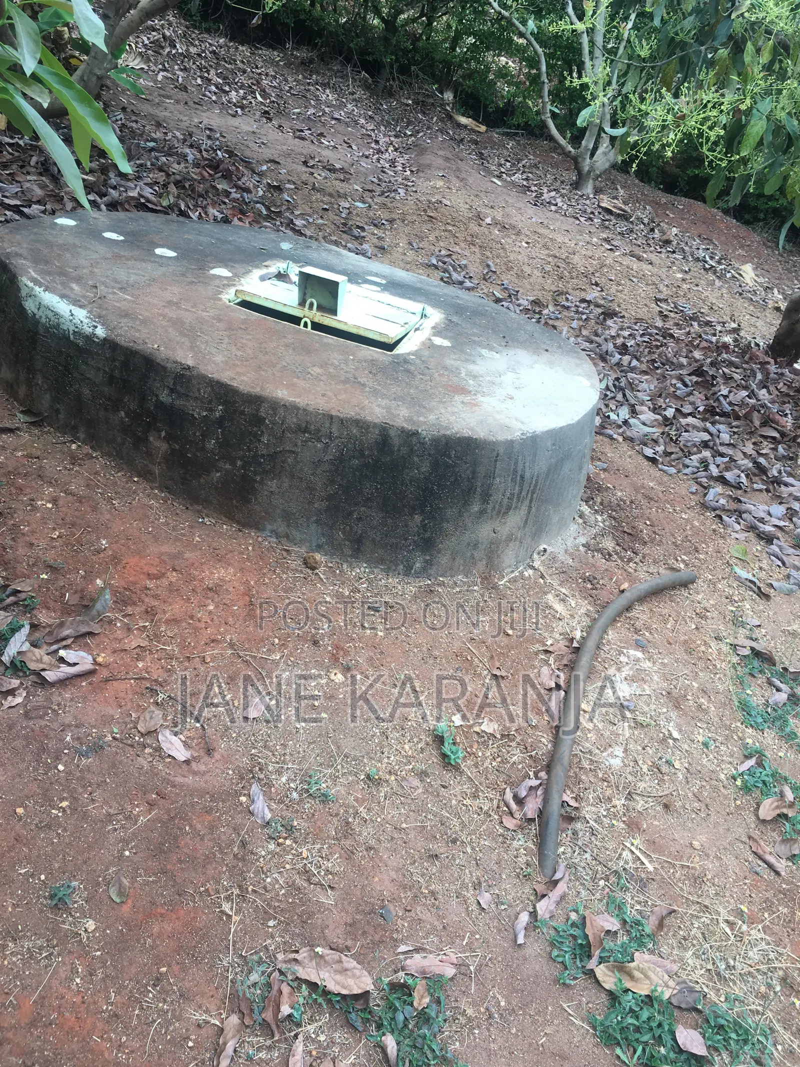 Muranga 1 Acre With Mature Hass 140 Trees