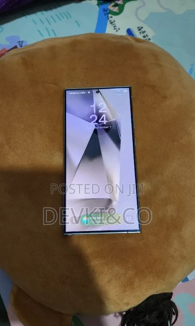 Samsung Galaxy S24 Ultra 256 GB Gray