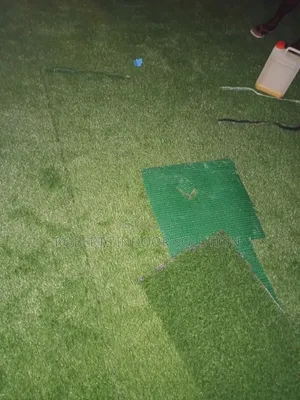 Turf Grass for Your Home Backyard