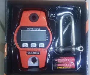 300KG Digital Crane Scale/Heavy Duty Hanging Weighing Scale