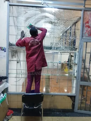 Office, School, Hospital Cleaning/Fumigation