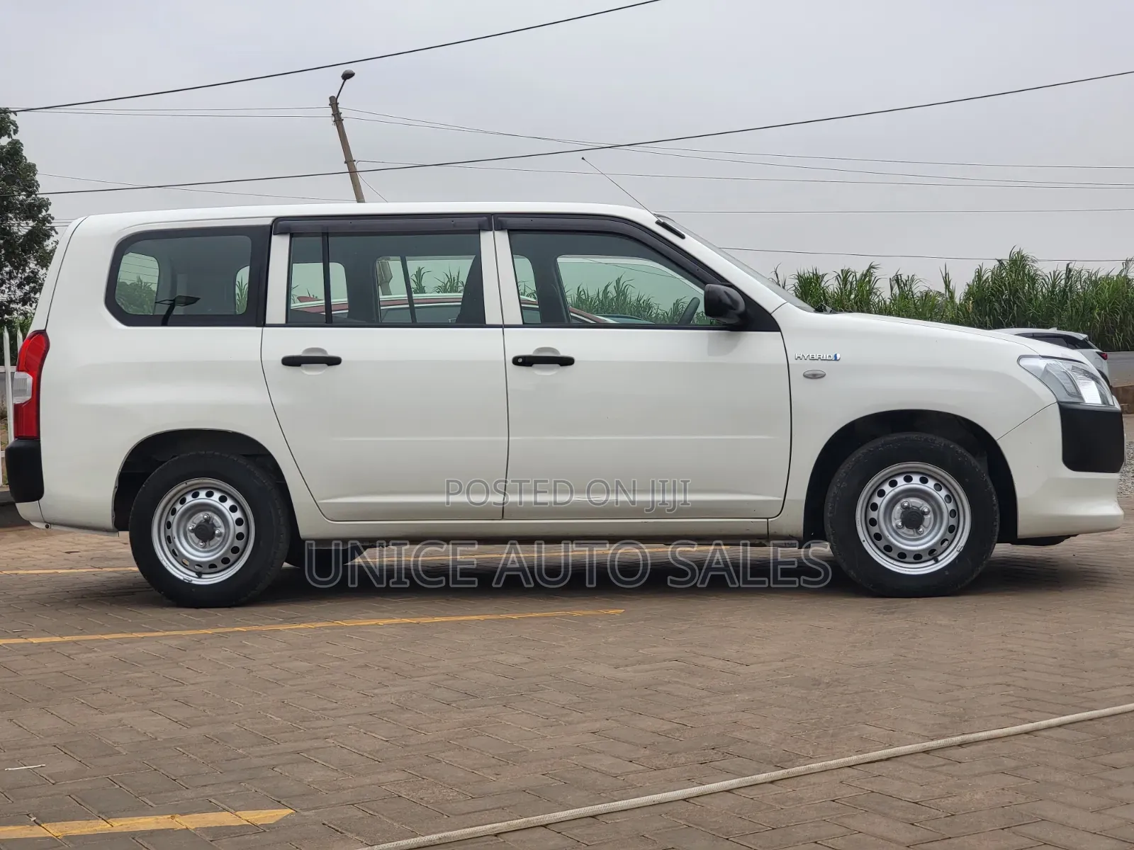 Toyota Succeed 2019 White