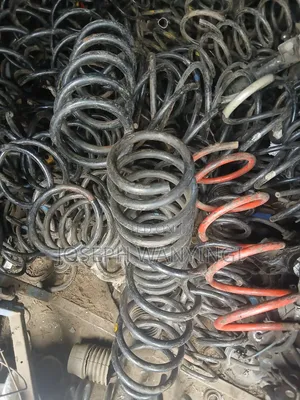 Heavy Coil Springs for New Suzuki Alto