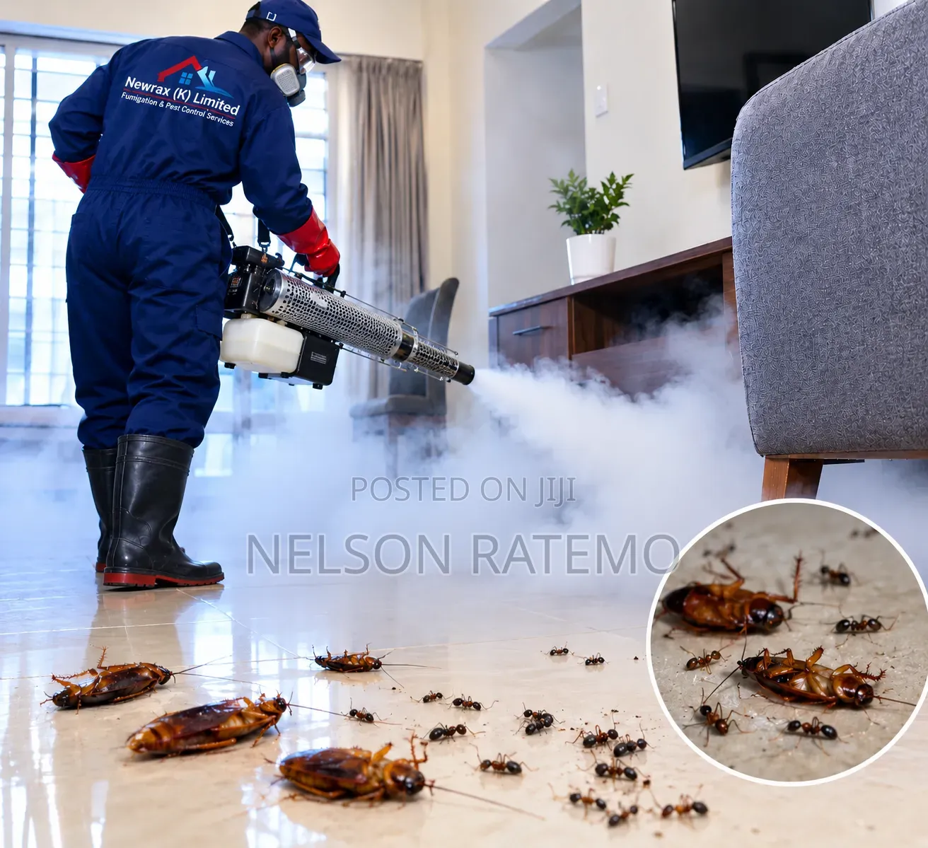 Cockroach Fumigation in Nairobi, Bedbugs Fumigation Near Me