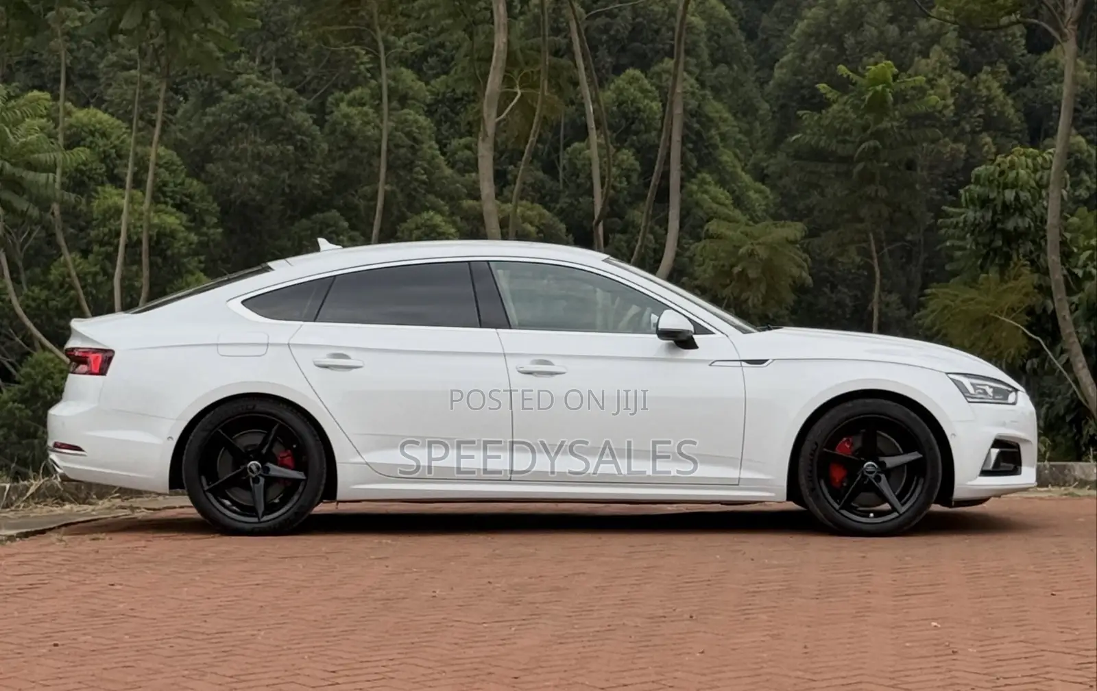 Audi A5 2.0T Premium AWD quattro Coupe 2019 White