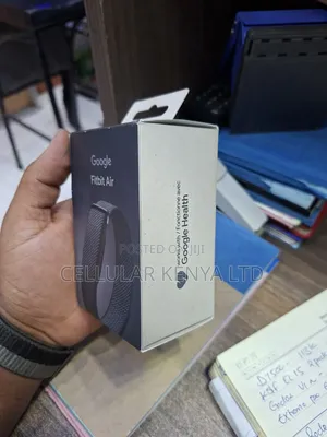 Google Fitbit Air