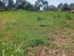 Land for Sale 0.2of an Acre