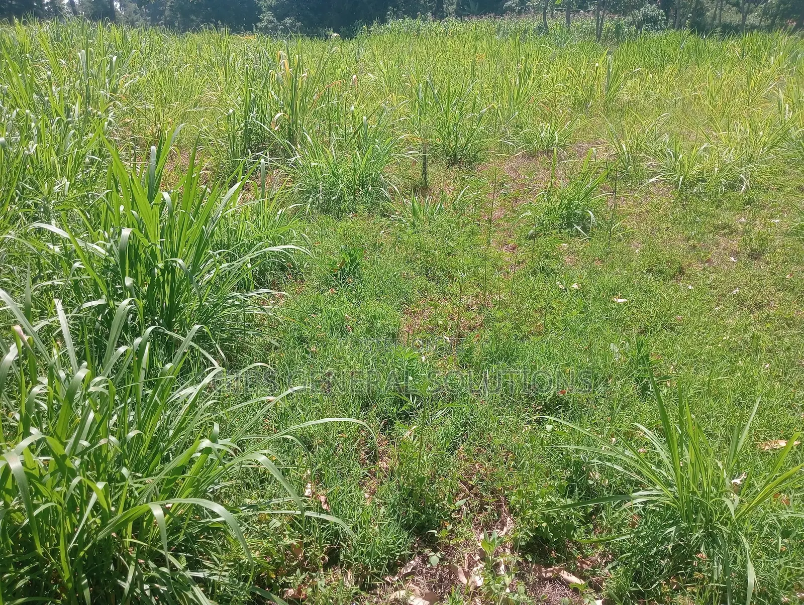 Land for Sale 0.2of an Acre