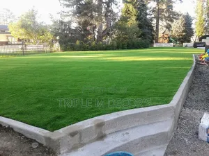 High-Quality 25mm Artificial Grass Carpet