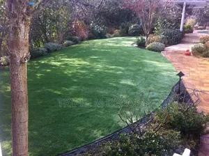All-Weather 10mm Green Lawn Carpet for Home