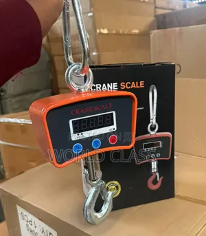 500KG Digital Crane Scale